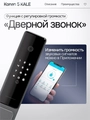 Входная дверь Пиано Смарт 2.0 с умным замком - зеркало Аркада Веллюто ферро с патиной для установки в квартиру 31897
